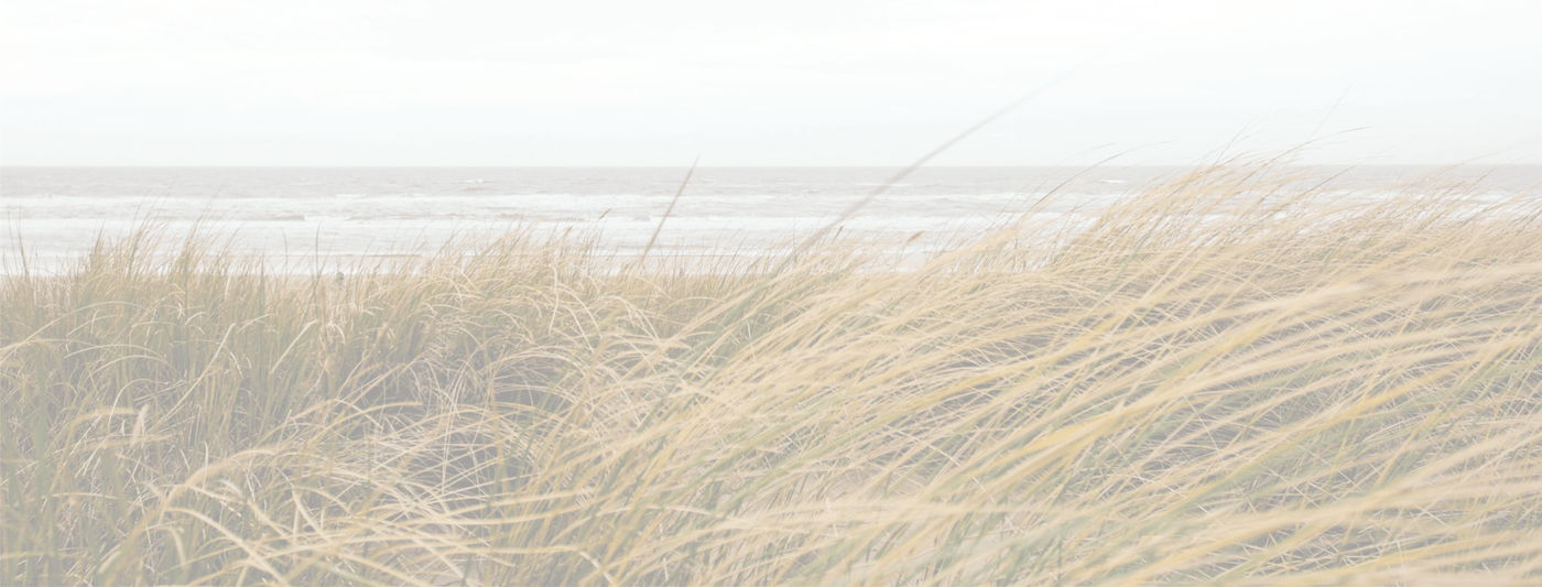 Wedding Rings - LaVidaLoca Jewellery